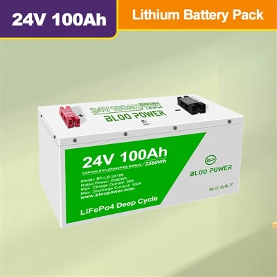 LifePo4 Batterie Lithium 24V 100AH ​​vstavaný inteligentný BMS